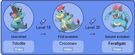 feraligatr weakness|blaziken weakness.